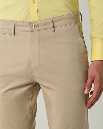 Men Regular Fit Trousers Beige