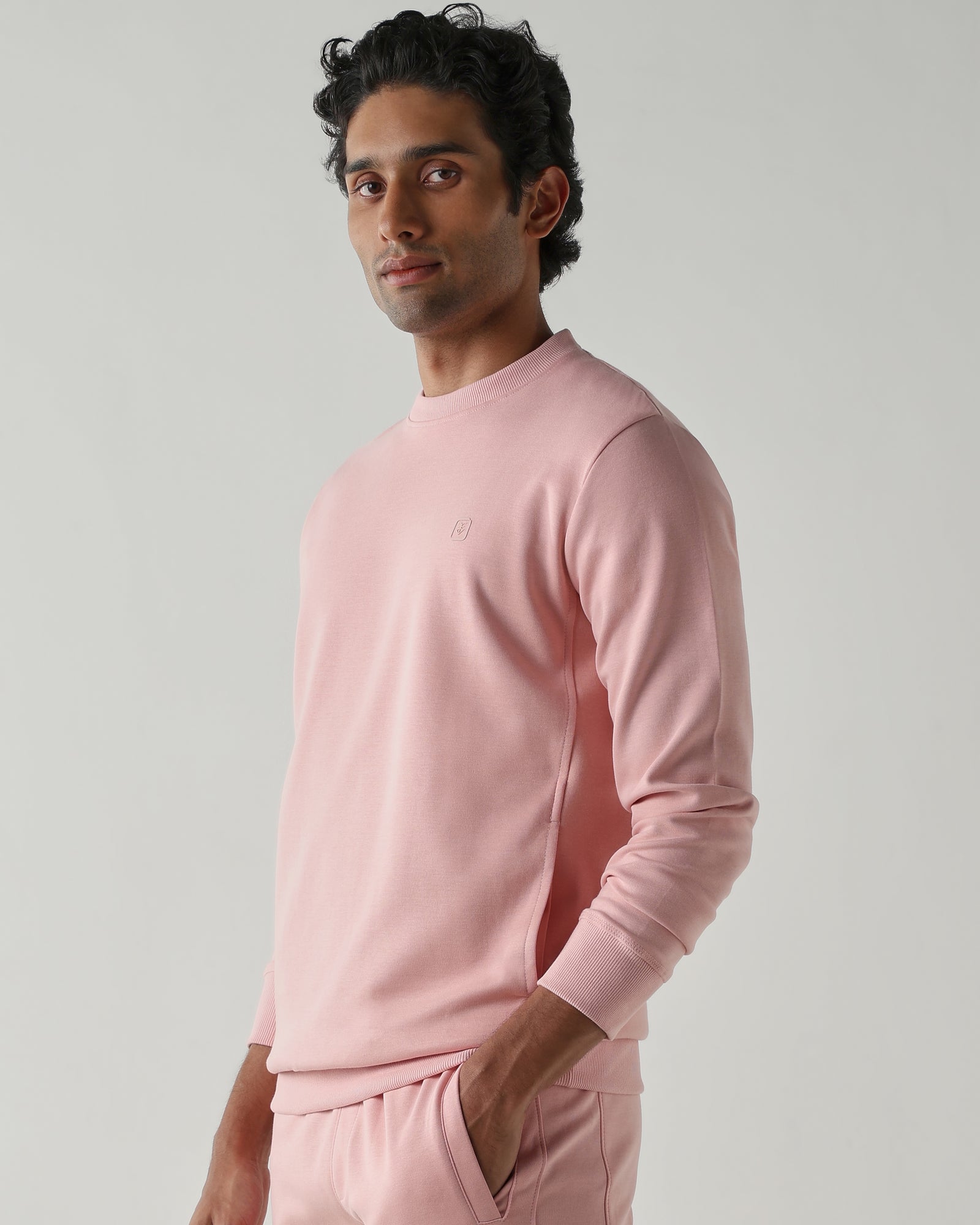 Round Neck Full sleeve  Sweatshirts – Sliver Pink