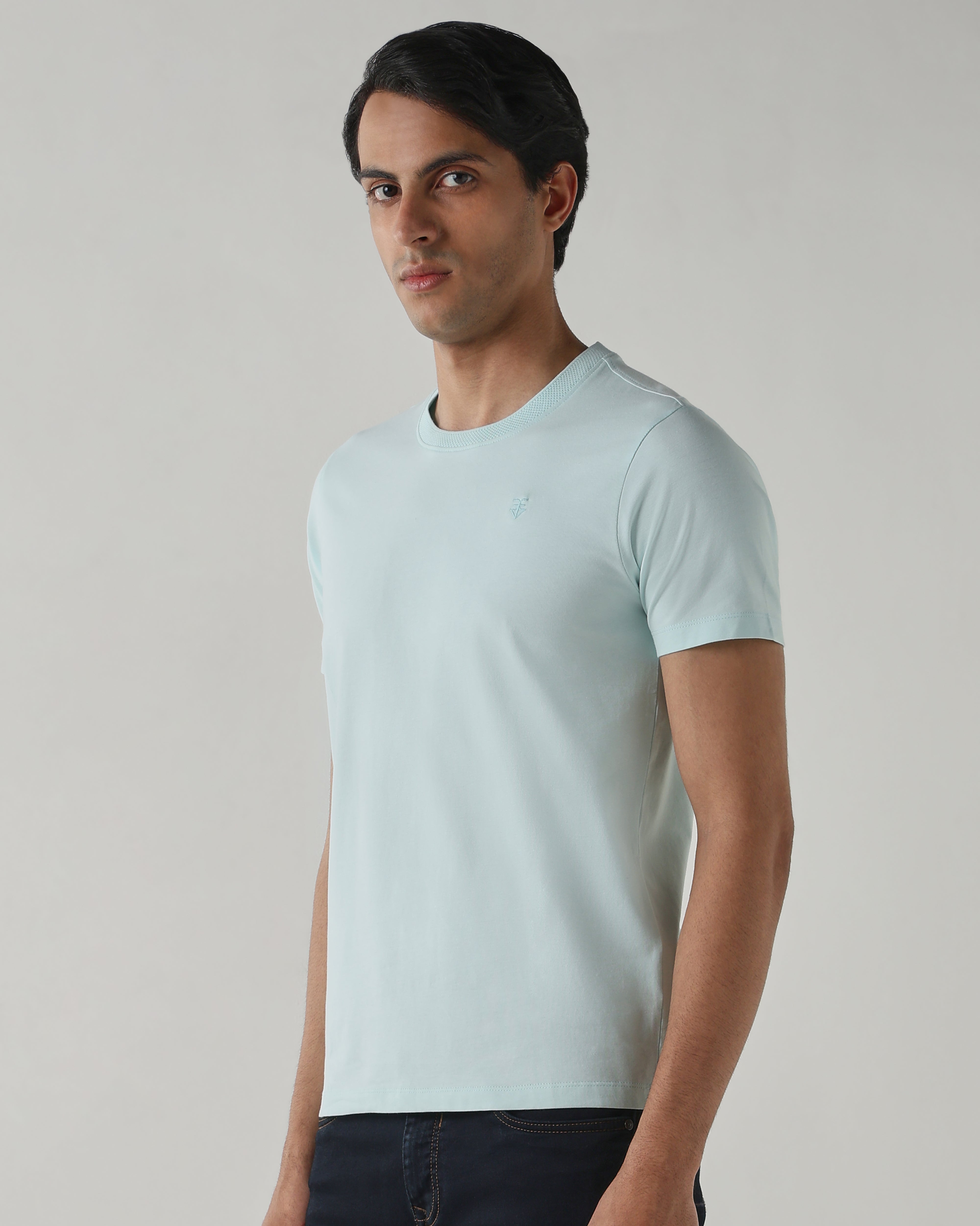 Men Regular Fit T-Shirt Blue Glass