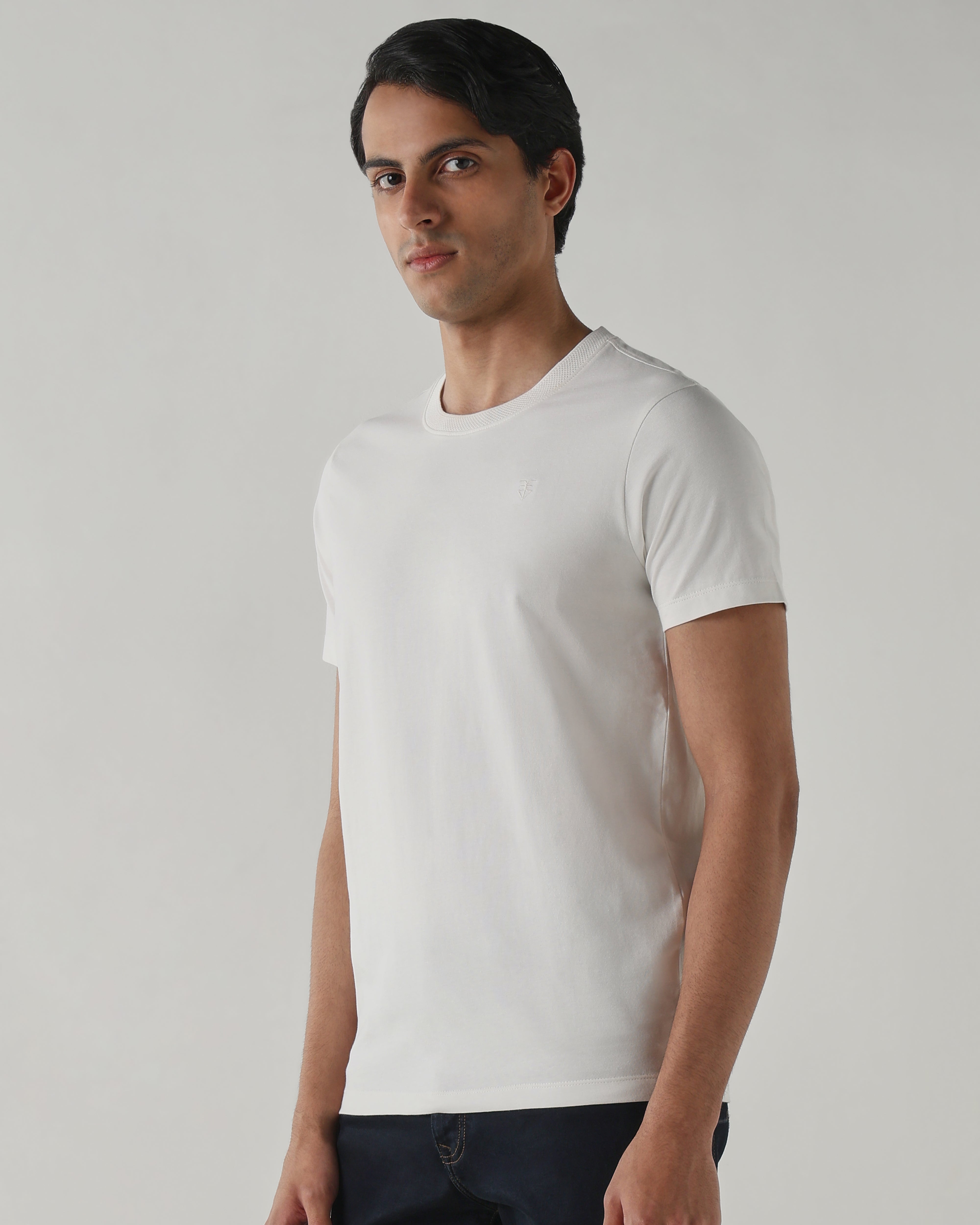 Men Regular Fit T-Shirt Brilliant White