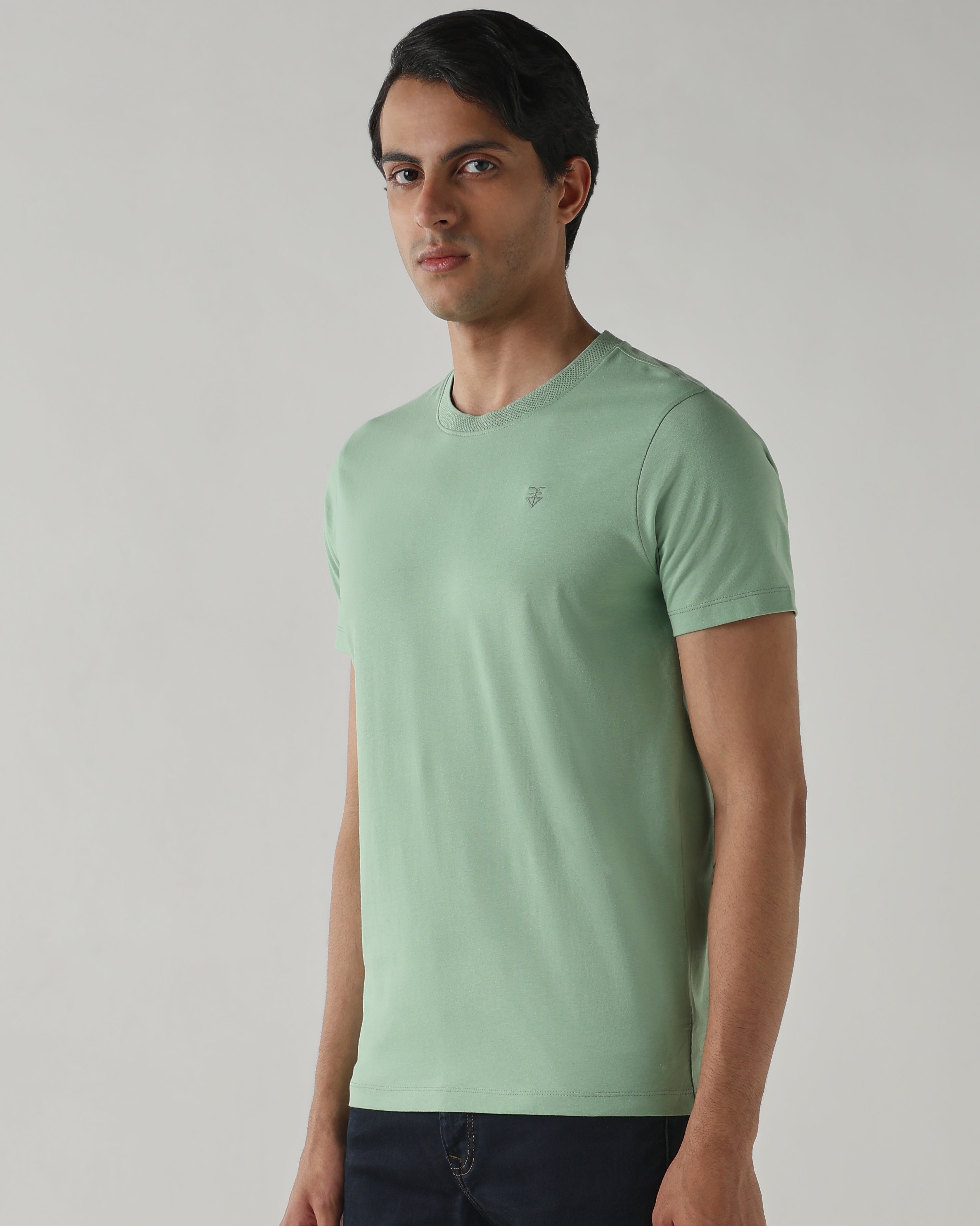Men Regular Fit T-Shirt Fair Green