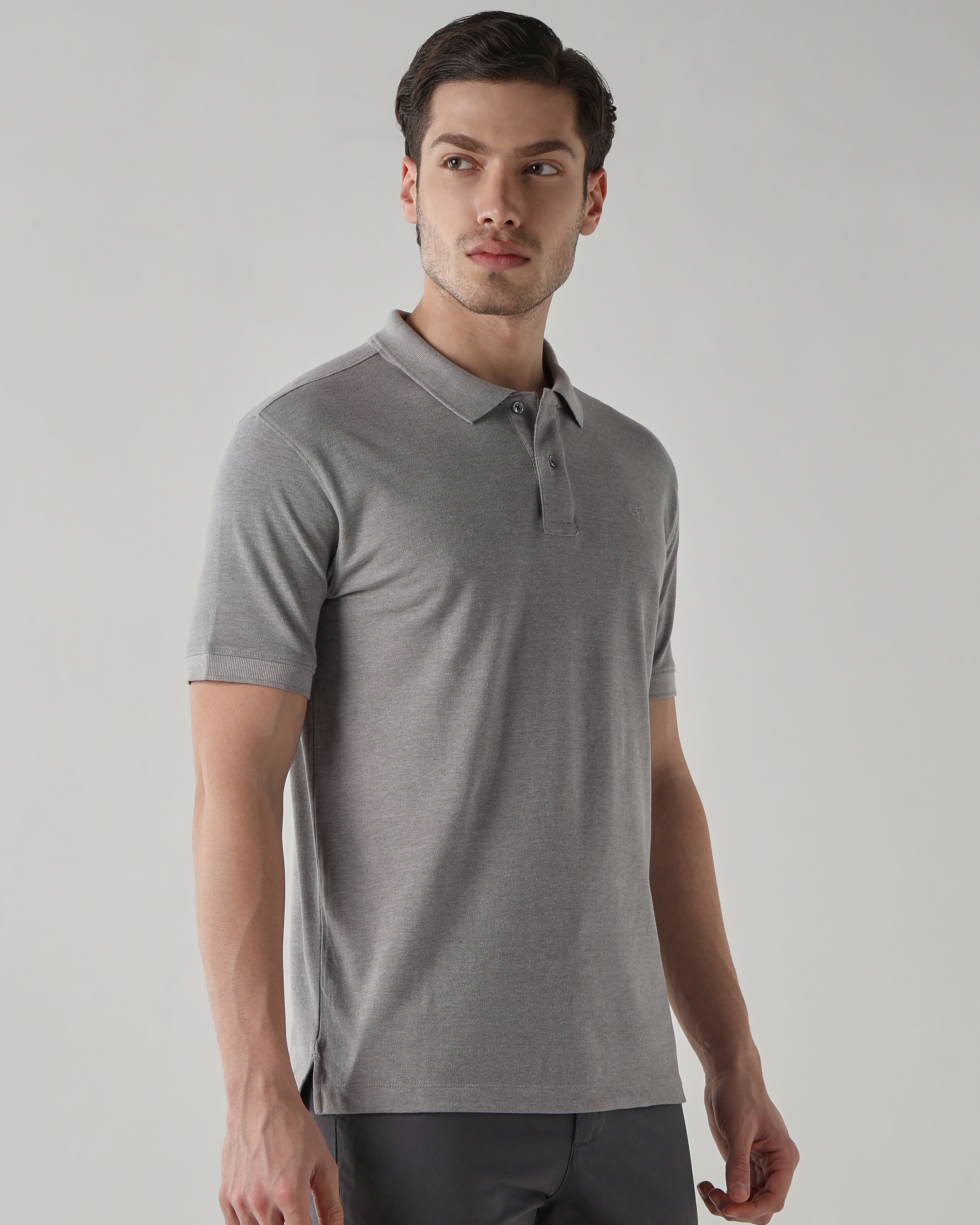 Men Regular Fit T-Shirt Frost Gray