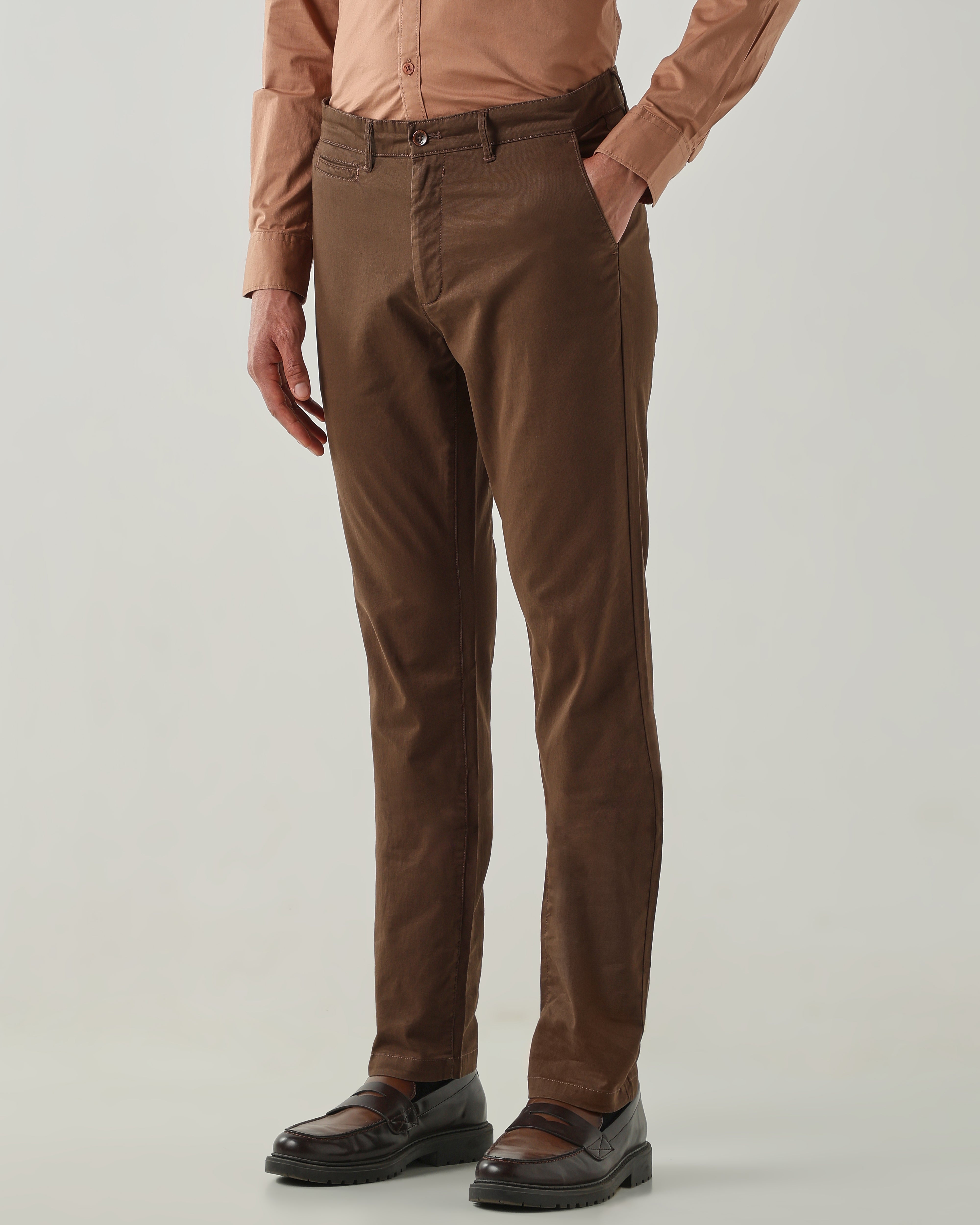 Men Regular Fit Trousers Brown