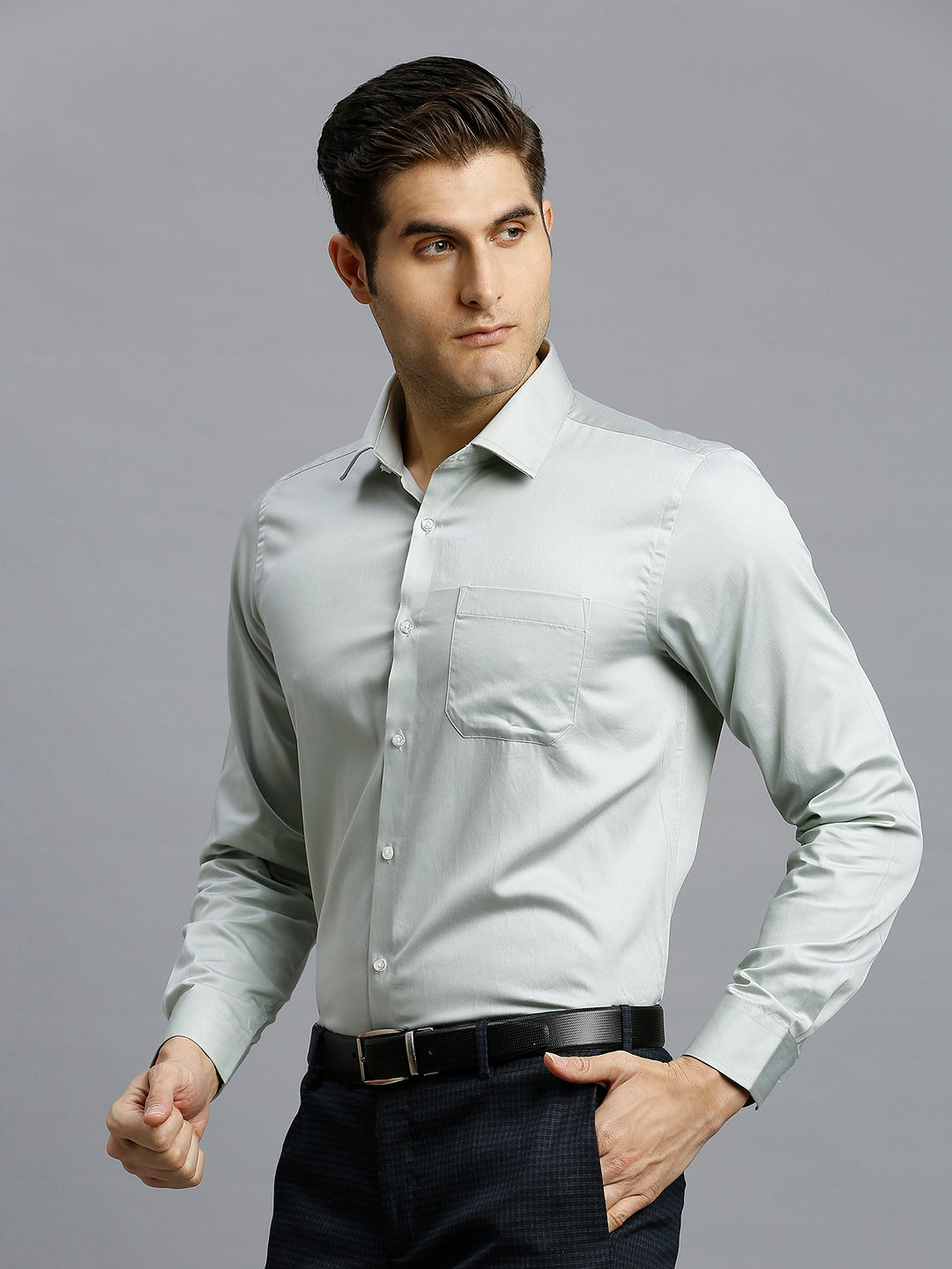 Light Green Solid Gizacotton Regular Fit Formal Full Sleeve Shirt