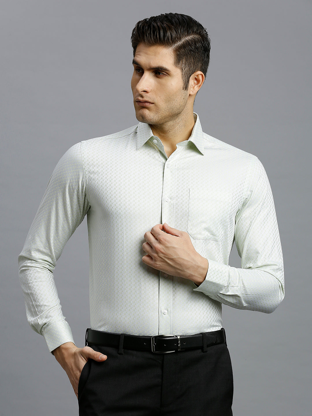 Light Green Solid 100% Cotton Regular Fit Formal Full Sleeve Shirt