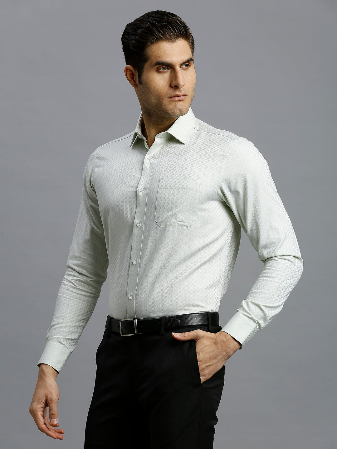 Light Green Solid 100% Cotton Regular Fit Formal Full Sleeve Shirt