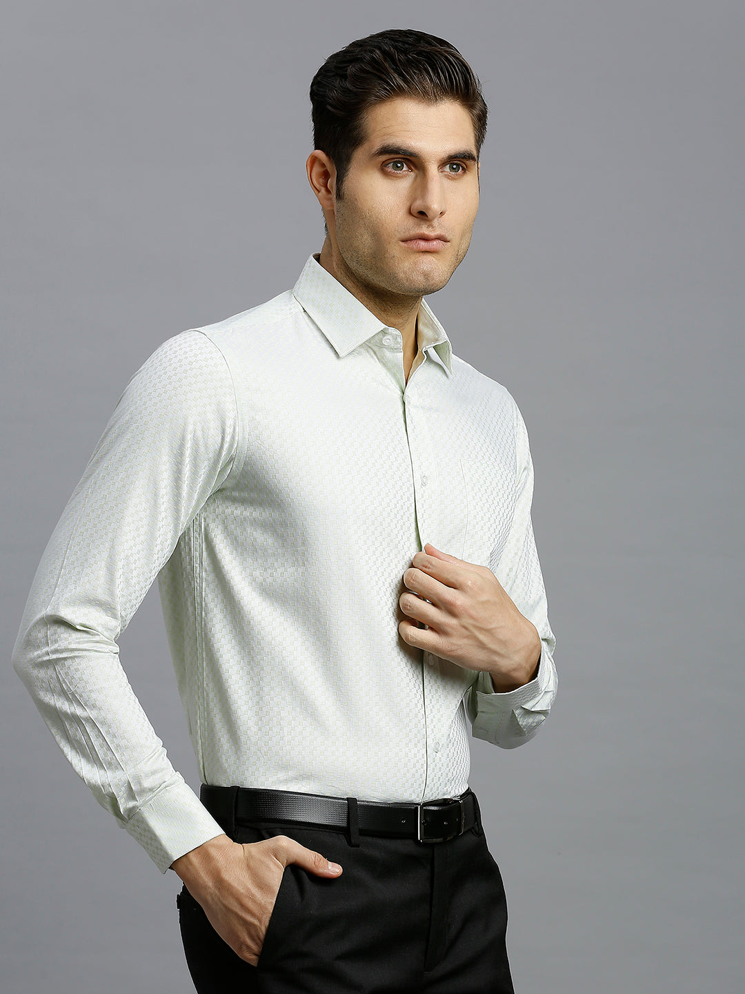 Light Green Solid 100% Cotton Regular Fit Formal Full Sleeve Shirt