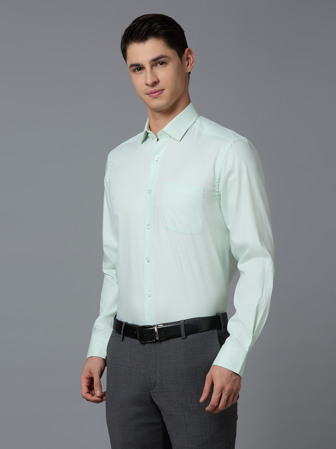 Light Green Dobby Y/D 100% Cotton Regular Fit Formal Essential Full Sleeve Shirt