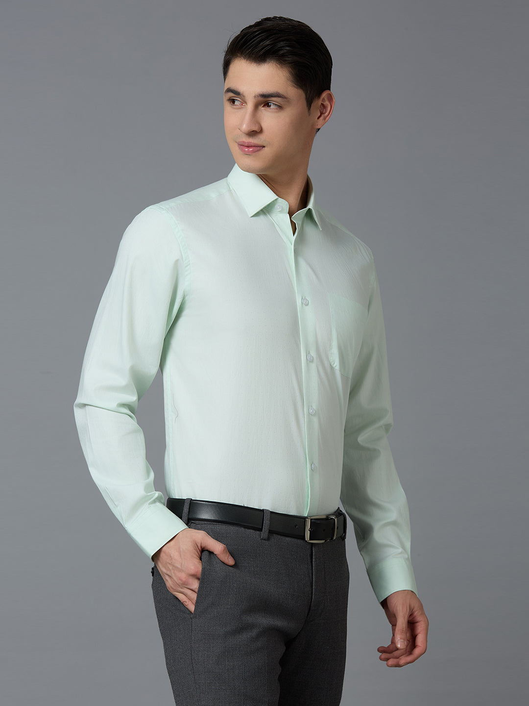 Light Green Dobby Y/D 100% Cotton Regular Fit Formal Essential Full Sleeve Shirt